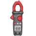 Струмові кліщі Richmeters RM99C