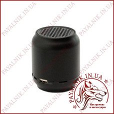 Bluetooth Колонка HOPESTAR H8