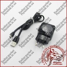 Зарядний пристрій ASPOR F13C Carbon (2USB 2.1A) + кабель Micro usb 1 метр